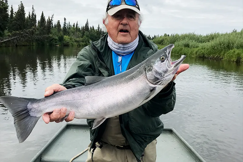 Coho Salmon caught on the Mulchatna River